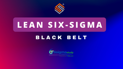 Lean Six Sigma Black Belt